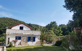 Kapulice